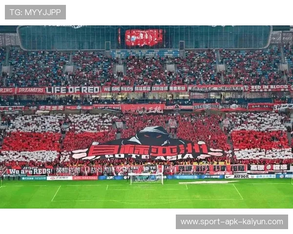 上海海港球迷助威创新，TIFO展示成亮点